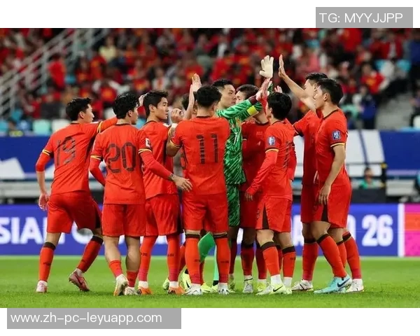 世界杯激战瑞典队中国足球的挑战与机遇分析